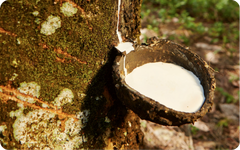 Agricultural commodities from Cameroon